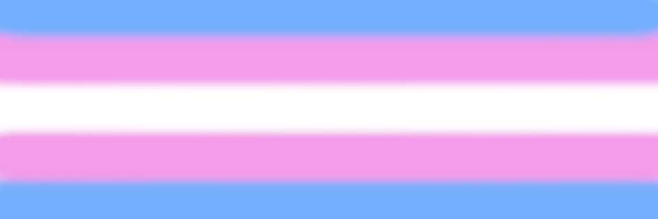 transgender flag